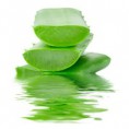 /album/aloe-vera/aloe-vera-esencia-de-jpg/